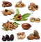 Nuts collection.