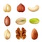 Nuts collection. Nature food dried cashew healthy peanut crumbs vector agriculture picture