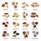 Nuts Flat Icons Set