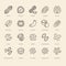 Nuts flat line icons set. Peanut, almond, chestnut, macadamia, cashew, pistachio, pine seeds vector illustrations