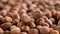 Nuts focus on close-up. turkish hazelnuts cinematic sequence. organic dried nuts