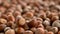 Nuts focus on close-up. turkish hazelnuts cinematic sequence. organic dried nuts.
