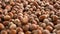 Nuts focus on wide angle. turkish hazelnuts cinematic sequence. organic dried nuts.