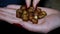 Nuts, hazelnuts, walnuts in his hand, filbert on ladone