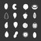 Nuts icons set grey vector