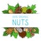 Nuts and seeds collection with paper label vector illustration. Mixed labelled organic nuts. Organic pecan, cashew