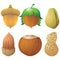 Nuts and seeds icon set