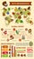 Nuts and seeds infographics, beans food statistics