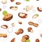 Nuts and seeds pattern. Cartoon seamless texture of healthy walnut nutrition. Organic peanut and macadamia, pistachio