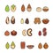 Nuts and seeds vector set. Modern outline multicolored minimalistic design. Icons set.