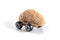 Nuts shell car