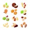 Nuts vector icons. Superfood eating cartoon style illustration