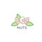 Nuts vector logo. Nuts emblem. Almonds logo. Almonds emblem