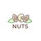 Nuts vector logo. Nuts emblem. Almonds logo. Almonds emblem