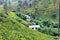 Nuwara Eliya, Sri Lanka. A beautiful scenic view of the hill station covered with trees and plantations with a small