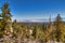 NV-Humboldt-Toiyabe National Forest-Spring Mountains National Recreational area-Mt. Charleston