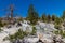 NV-Humboldt-Toiyabe National Forest-Spring Mountains National Recreational area-Mt. Charleston