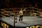 NXT Wrestle Sami Zayn pumps up crowd as he talks into microphone in ring