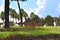 Nyalas on beatiful natural scenery at Bush Gardens Tampa Bay Theme Park