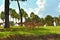 Nyalas on beatiful natural scenery at Bush Gardens Tampa Bay Theme Park