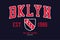 NYC, Brooklyn college typography graphics with shield for t-shirt. New York, Bklyn college league apparel print. Vector