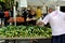 NYC: Columbus Avenue Farmer\'s Market