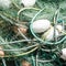 Nylon Commercial Fishing Net Tangled with Ropes and Floats