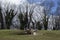 Nympsfield remains neolithic longbarrow england