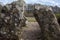 Nympsfield remains neolithic longbarrow england