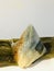 Nyonya Chang, glutinous rice dumpling with pandan leaves. Vertical photo image.