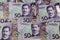 NZ fifty dollar banknotes