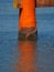 O-torii great gate of the Itsukushima Shrine, Japan