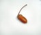 Oak acorn on white background. Autumn. Defoliation.