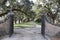 Oak Alley - Boone Hall Plantation - Charleston, South Carolina