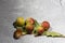 Oak apples on the underside of an oak leaf. painful growth on oak leaves containing tannic acid