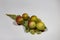 Oak apples on the underside of an oak leaf. painful growth on oak leaves containing tannic acid