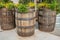 Oak barrel planters outdoors