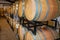 Oak barrel in a vineyard
