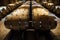 Oak barrels in a cellar