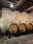 Oak barrels in an old underground wine cellar