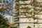 Oak branch with autumn leaves on background of facade beautiful modern building in Sochi