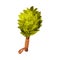 Oak Broom for Sauna as Finland Symbol and Attribute Vector Illustration