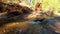 Oak creek canyon flow with boulder - Sedona, Arizona