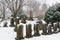 Oak Grove Cemetery - rows of tombstones in the snow