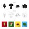Oak leaf, mushroom, stump, maple leaf.Forest set collection icons in black,flat,outline style vector symbol stock