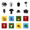 Oak leaf, mushroom, stump, maple leaf.Forest set collection icons in black,flet style vector symbol stock illustration