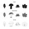 Oak leaf, mushroom, stump, maple leaf.Forest set collection icons in black,monochrome,outline style vector symbol stock