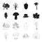 Oak leaf, mushroom, stump, maple leaf.Forest set collection icons in black,outline style vector symbol stock