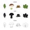 Oak leaf, mushroom, stump, maple leaf.Forest set collection icons in cartoon,black,outline style vector symbol stock
