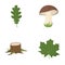 Oak leaf, mushroom, stump, maple leaf.Forest set collection icons in cartoon style vector symbol stock illustration web.